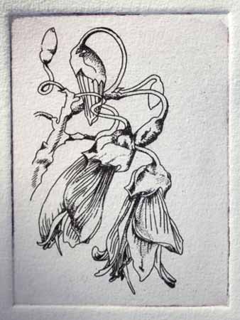 Etching by Soo Yir Lammers